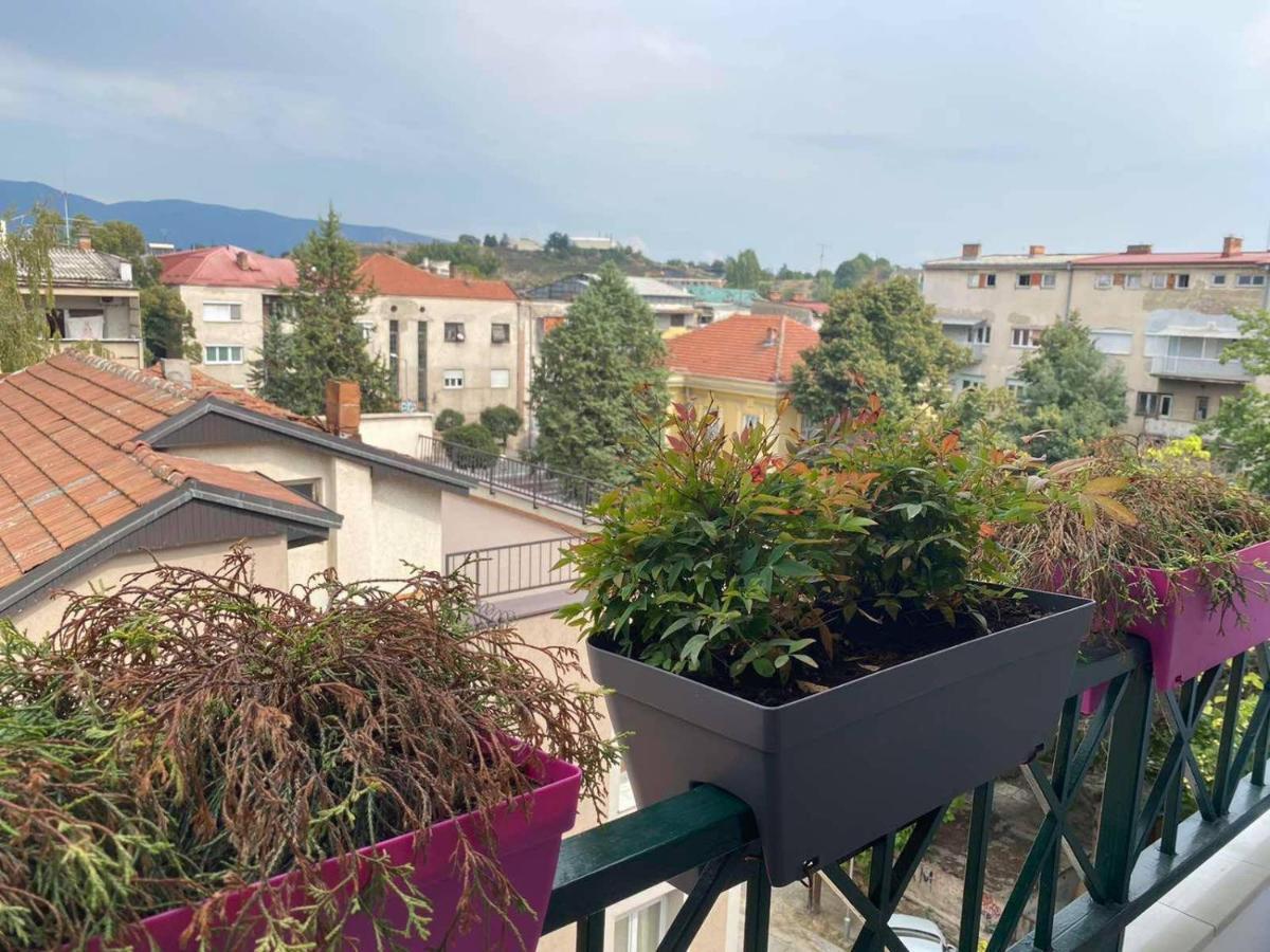 Velvet Apartment Σκόπια Εξωτερικό φωτογραφία